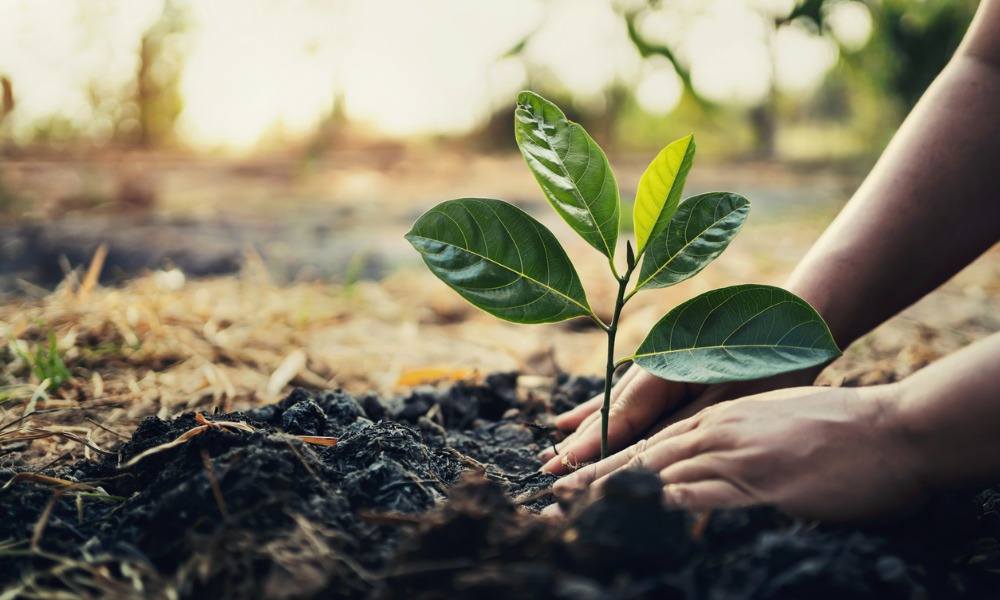 Newrez goes paperless to support One Tree Planted